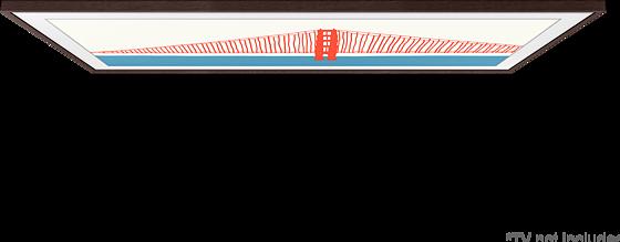 Actual product image Samsung VG-SCFA55 (Various)