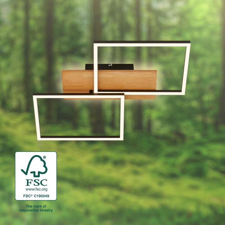 Actual product image Briloner LED ceiling light, black / wood, LED/30W (1580 lm)