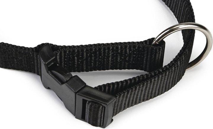 Actual product image Beeztees BZ NYL HALSB VARIABLE 22 35X10 (Dog)