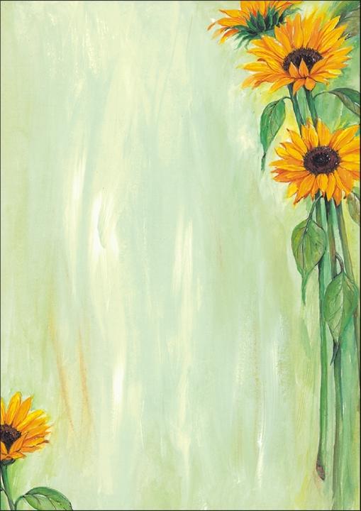 Produktbild Sigel Designpapier (A4, 90 g/m²)