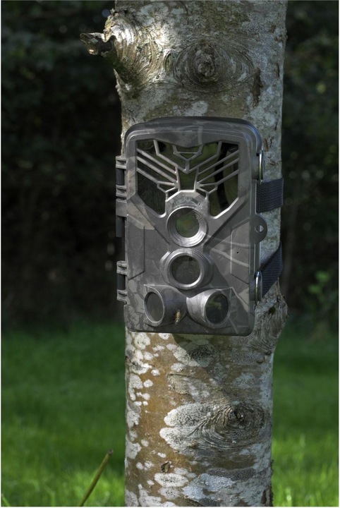 Image du produit Denver WCT-8020WDE caméra de surveillance de la faune