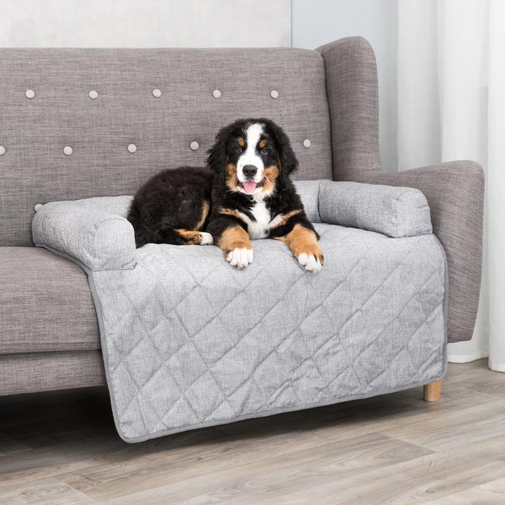 Image du produit Trixie Nero (Chat, Chien)