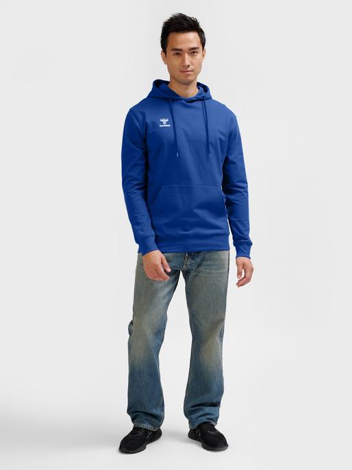 Actual product image hummel HMLGO 2.0 HOODIE (M)
