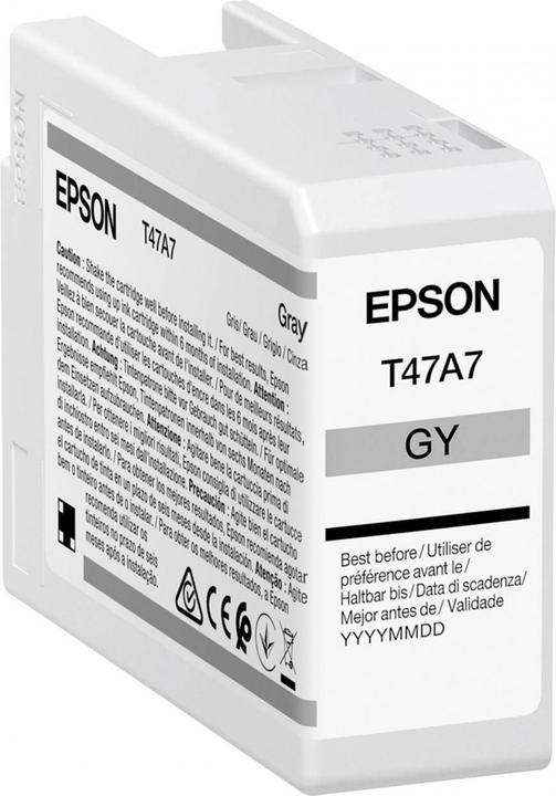 Immagine prodotto Epson T47A7 (GY)