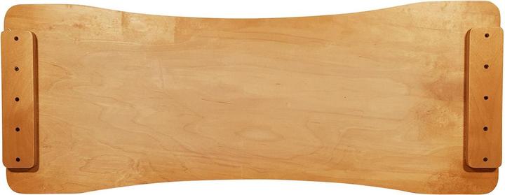 Produktbild Roller Bone FitBone
