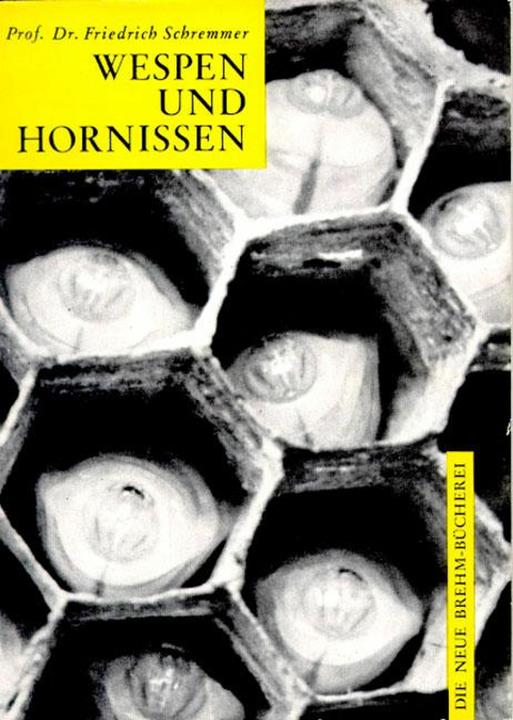 Produktbild Wespen und Hornissen (Deutsch, Friedrich Schremmer, 2004)
