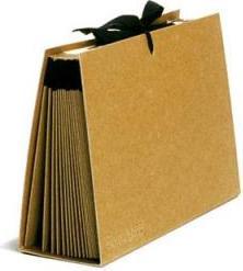 Produktbild Schwartz Fächermappe Kraftpapier mit 16 Fächern (A4, 1x)