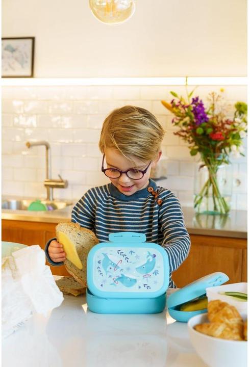 Produktbild Amuse Lunchbox Sealife