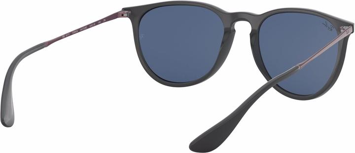 Immagine prodotto Ray Ban Erika