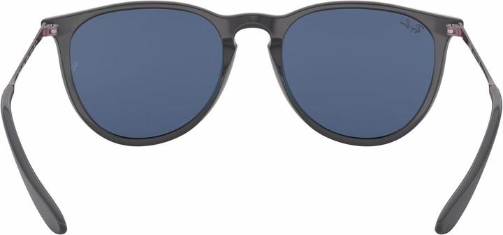 Immagine prodotto Ray Ban Erika