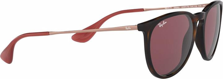 Image du produit Ray Ban Erika