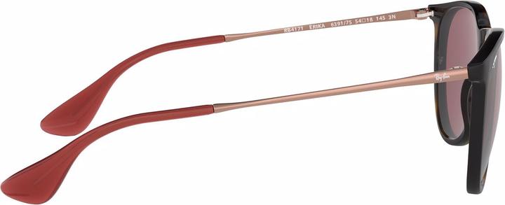 Image du produit Ray Ban Erika