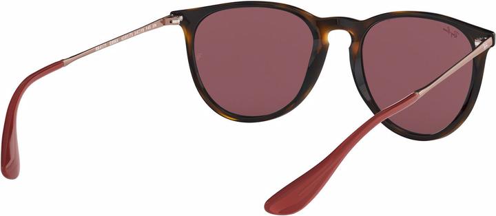 Image du produit Ray Ban Erika