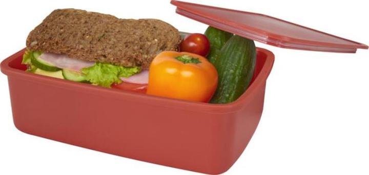 Actual product image Seasons Dovi 800ml Lunch Box