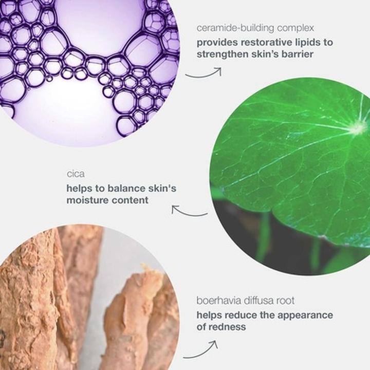 Actual product image Dermalogica Stabilizing Repair Cream (50 ml, 24h cream)