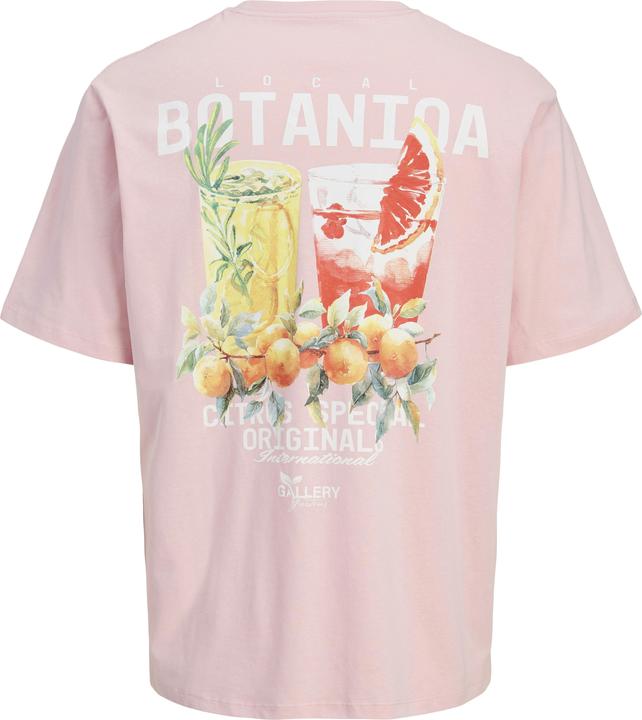 Produktbild Jack & Jones Jorbotaniq Tee Ss Crew Neck Tg Ln (XL)