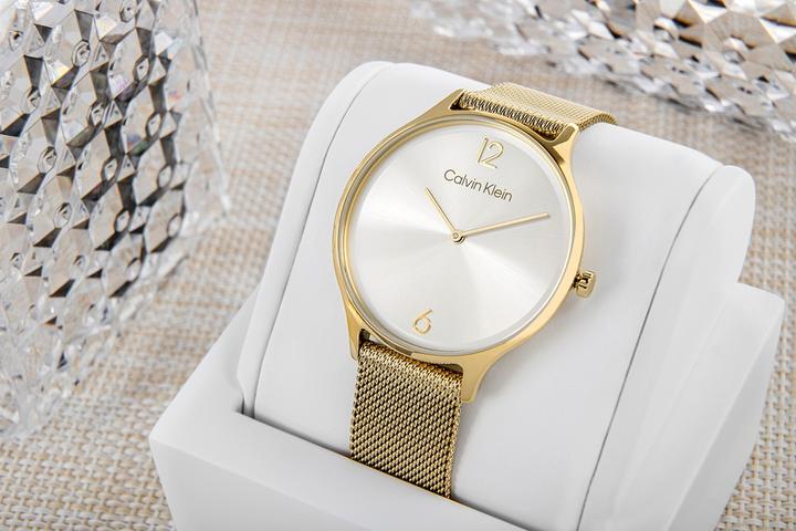 Immagine prodotto Calvin Klein Timeless Mesh Damenuhr 25200003 + BOX