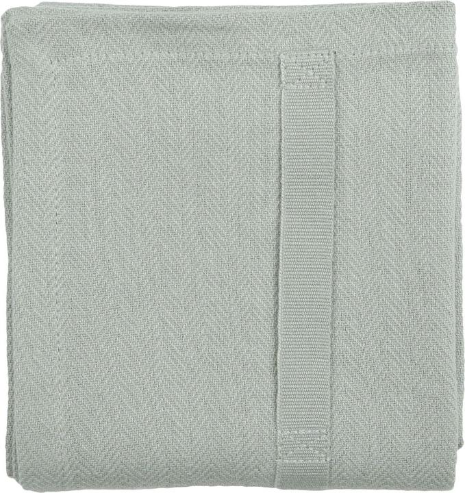 Menthe poussiéreuse