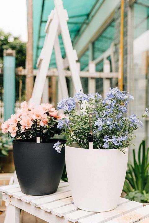 Produktbild T4U Selbstwässernder Blumentopf