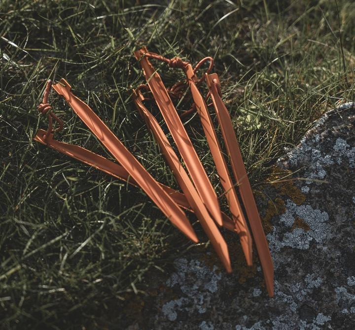 Image du produit Easy Camp Aluminium-V-Heringe