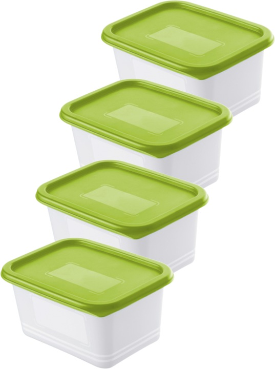 Actual product image Rotho Set of freezer tins DOMINO
