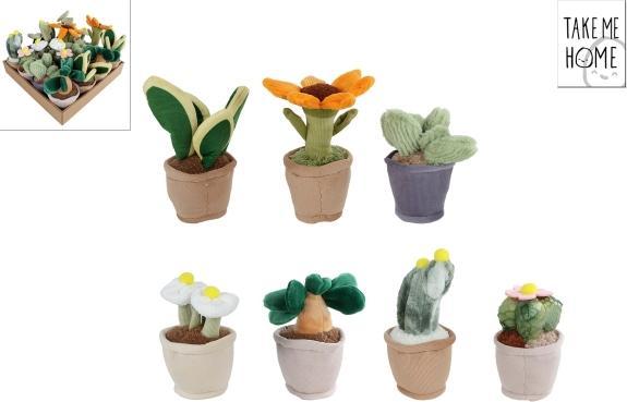 Image du produit Sombo Pflanzen (17 cm)