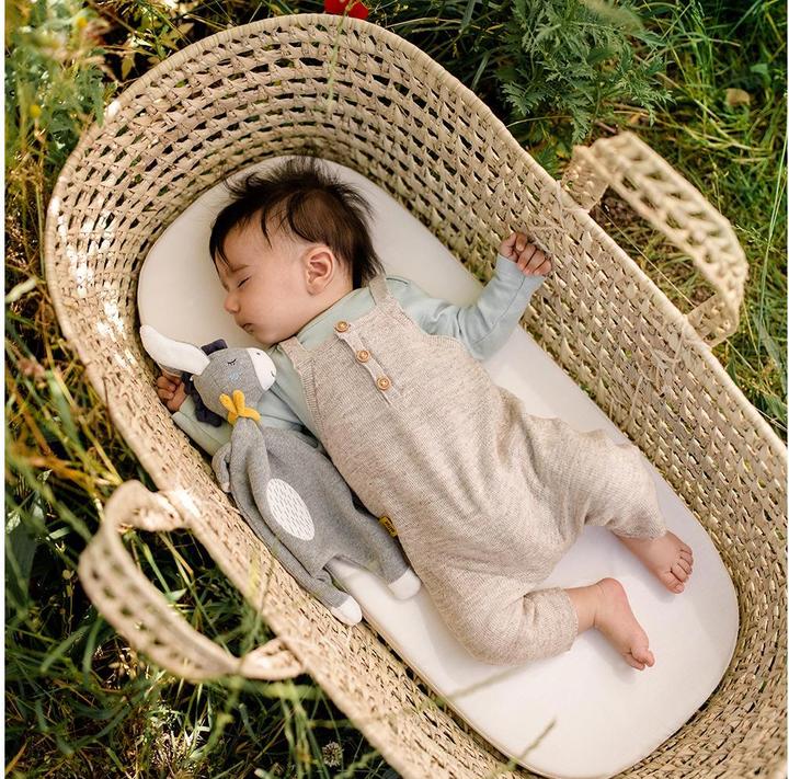 Actual product image Fehn Cuddle cloth donkey NATURE