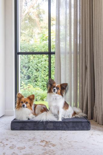 Produktbild Designed by Lotte Orthopaed kaefigkissen Ribbed (Hund)