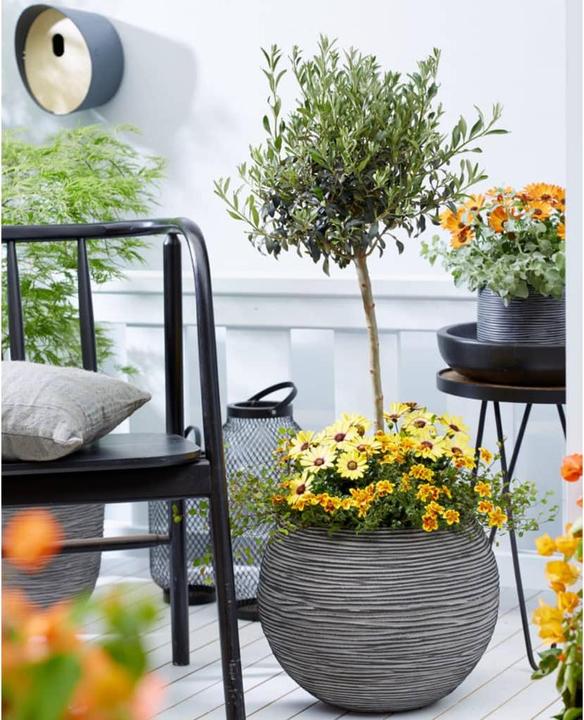 Produktbild Capi Blumentopf (40 x 40 x 32 cm)