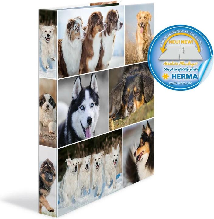 Actual product image HERMA A4 ring binder motif (A4, 35 mm, 1 pcs.)