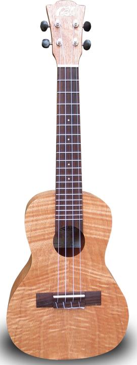 Image du produit Leho MLUS-XM-NT (matériau laminé)