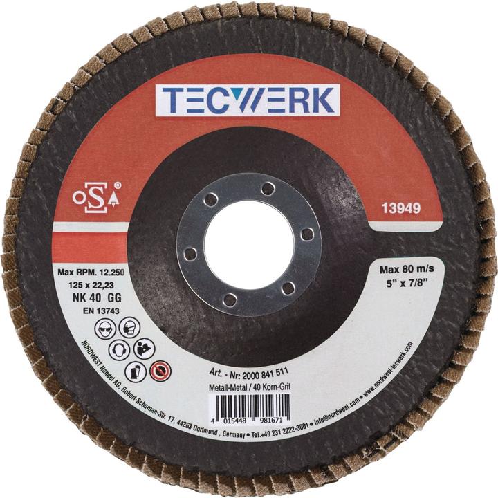 Image du produit Tecwerk Fächerscheibe (Grain 80Er)