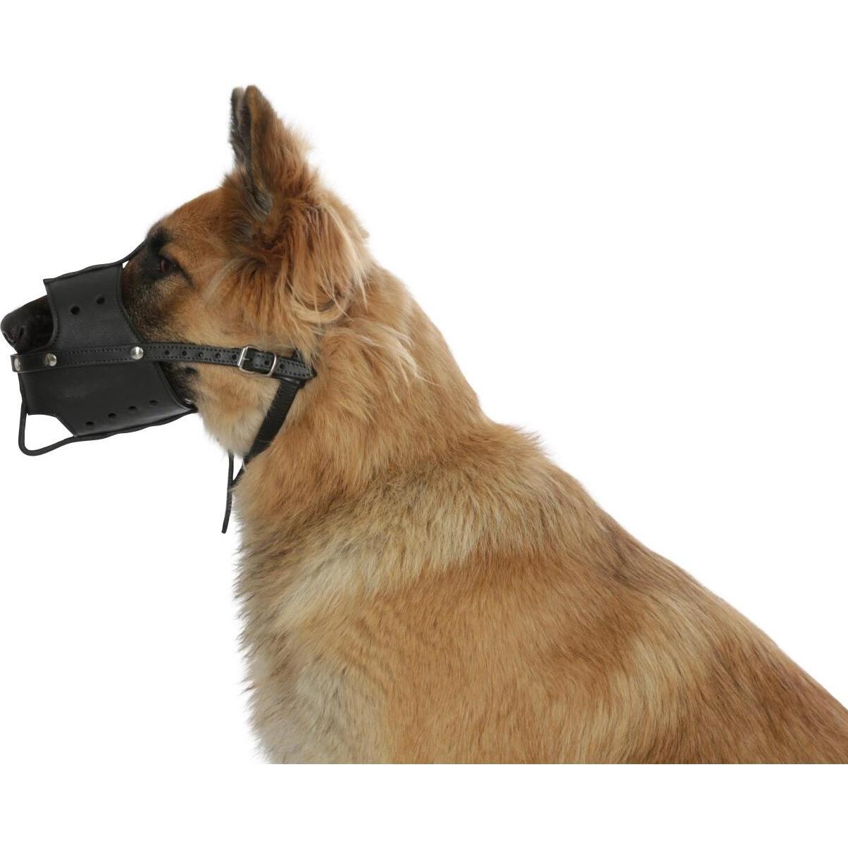 Muselière en cuir - KERBL - 26 cm - Souple et robuste - Réglable 3 points - Confort optimal