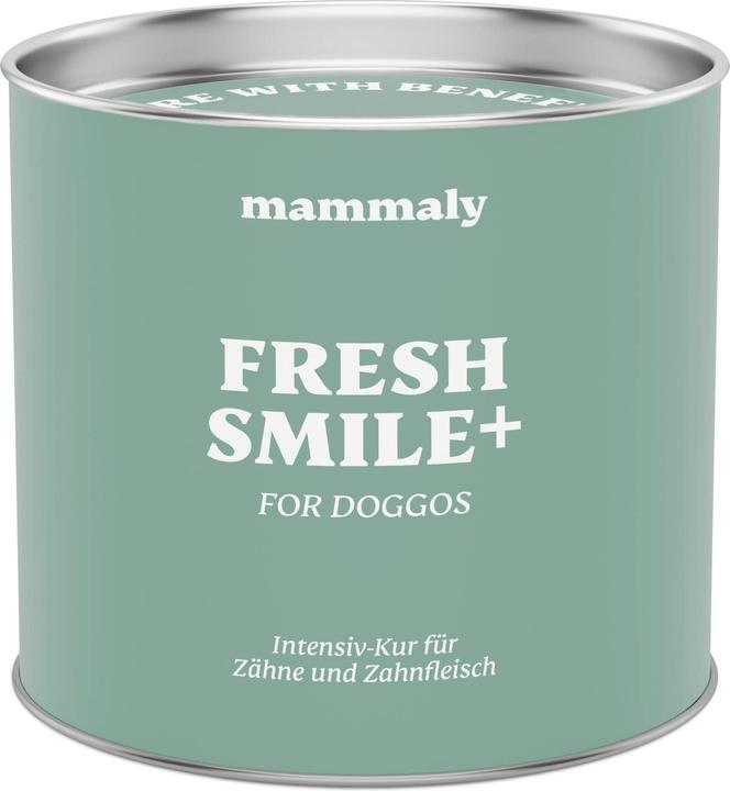 Produktbild Mammaly Fresh Smile Plus Hunde Zahnpflege Pulver
