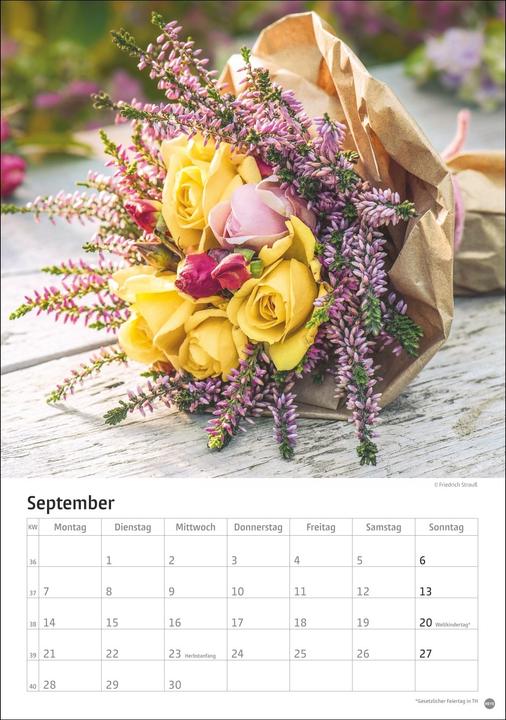 Produktbild Rosenpracht Kalender 2026 (23,5x33,5cm)