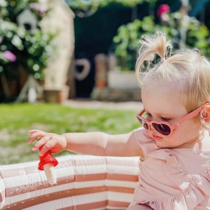 Image du produit Nuby Sucettes glacées fraîches du jardin