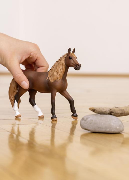 Image du produit Schleich Jument Paso Peruano