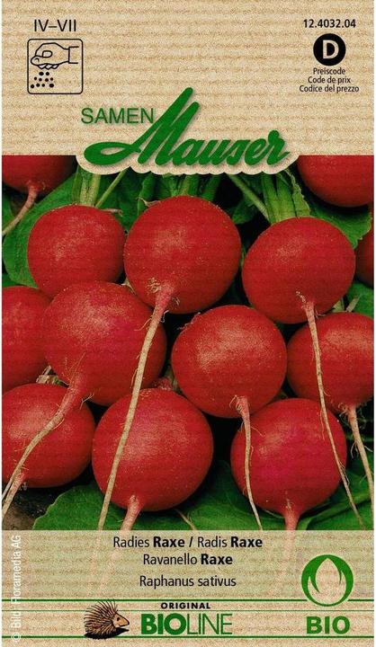 Produktbild Samen Mauser Knospe Bio Radies Raxe (Gemüsesamen)