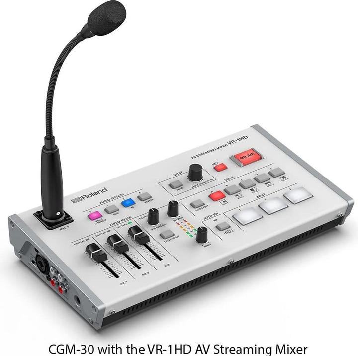 Immagine prodotto Roland CGM-30 Microfono a collo d'oca