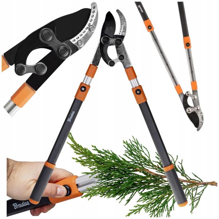 Actual product image Bradas Telescopic lopping shears