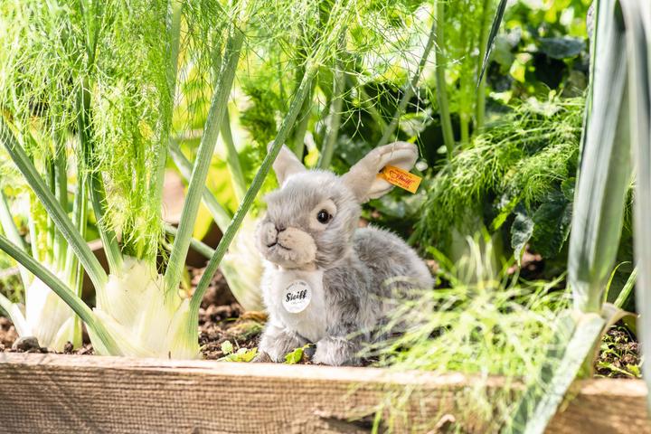 Actual product image Steiff Dormili rabbit light grey 21cm (21 cm)