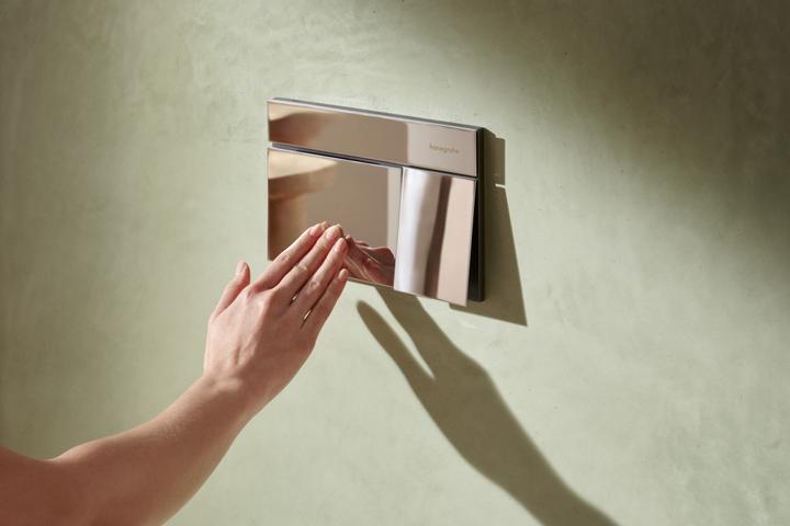 Immagine prodotto hansgrohe iFrame élément E Plaques de déclenchement pour chasse d'eau à 2 quantités, 66003000, 66003000