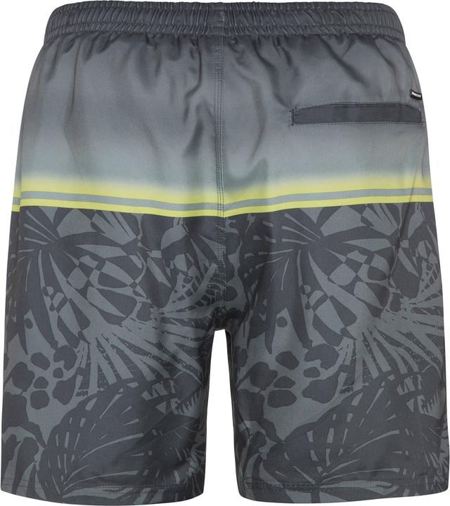 Produktbild Protest Herren Beachshort PRTELJAS Huntergreen L (L)