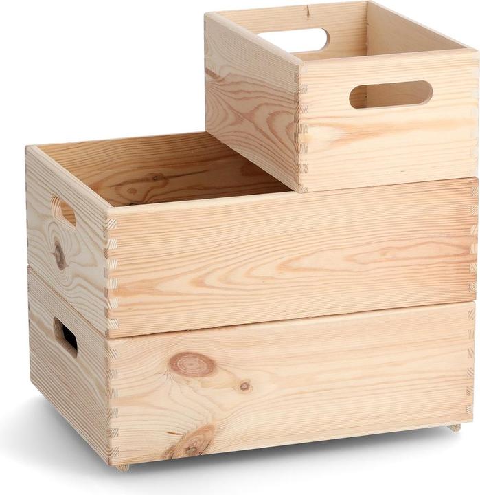 Actual product image Zeller Present All-purpose box (30 cm, 18 l, 1x)