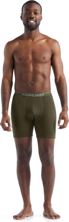 Actual product image Icebreaker Anatomica (S)