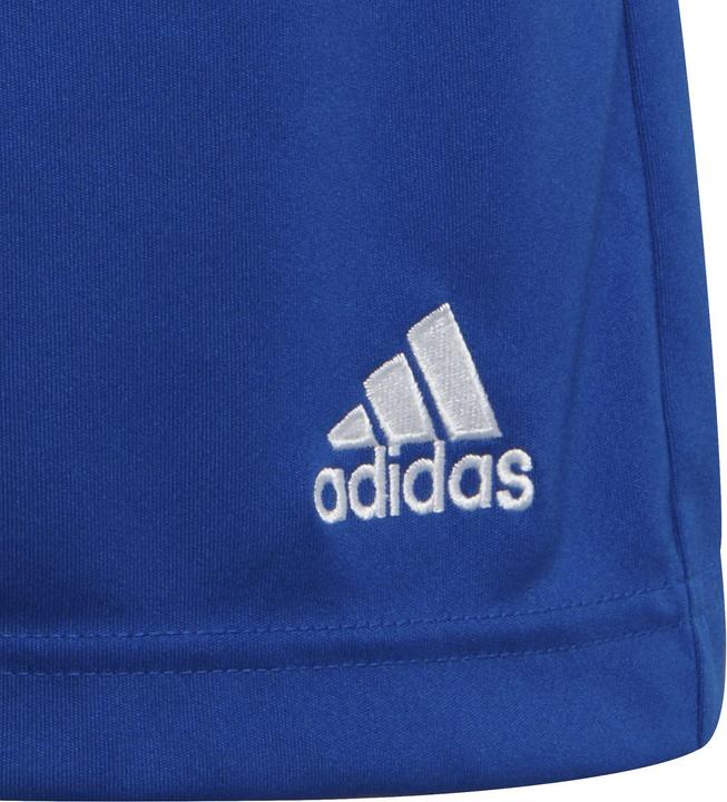 Image du produit adidas Entrada 22 Shorts (128)