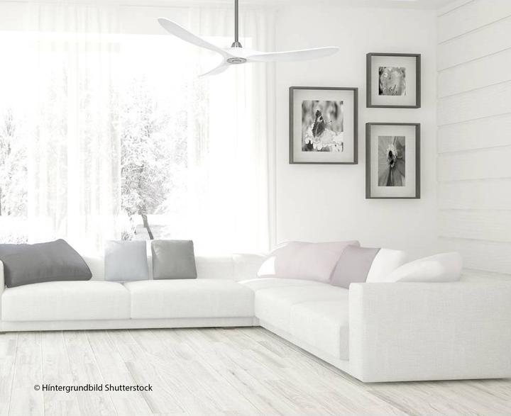 Produktbild CasaFan Deckenventilator ECO GENUINO (20 dB)