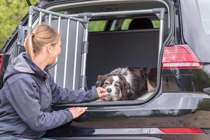 Produktbild Trixie Transportbox (Hund, Katze, Abschliessbar, Atmungsaktiv)