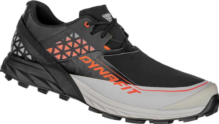 Actual product image Dynafit Alpine DNA running shoe (48.5)