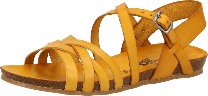 Giallo 6